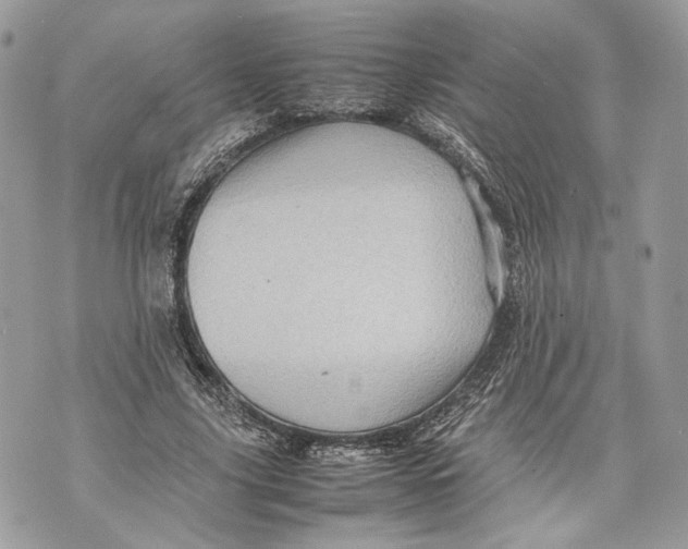 X0000070190635200606161552