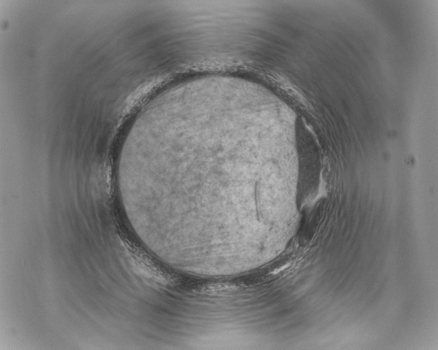 X0000070190636200606161552