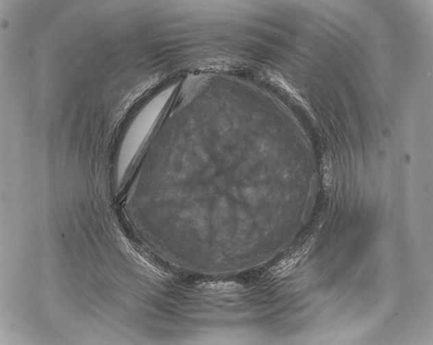 X0000070190637200606161552