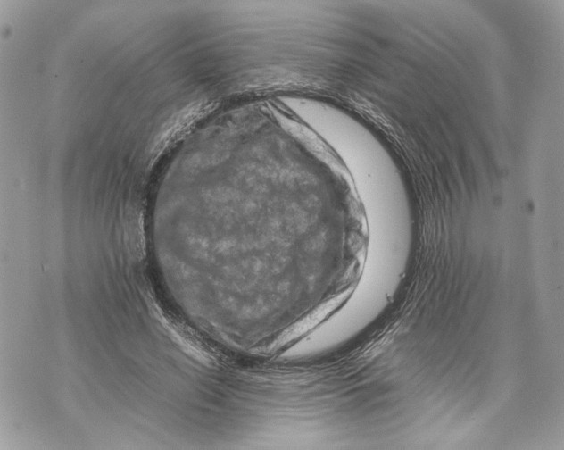 X0000070190638200606161552