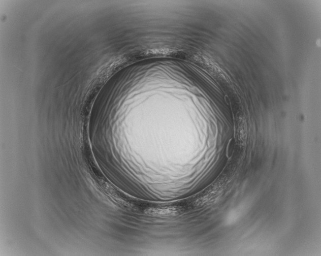 X0000070190639200606161552