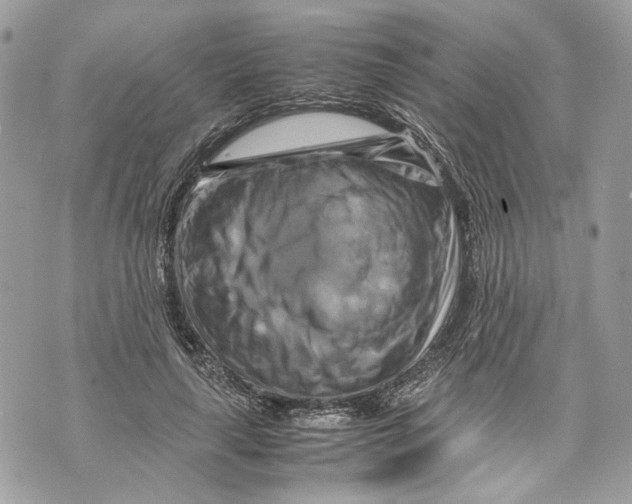 X0000070190643200606161552