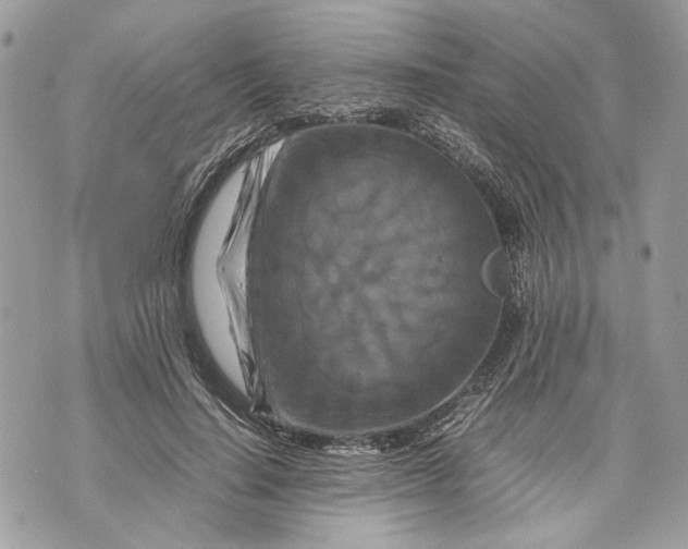 X0000070190644200606161552