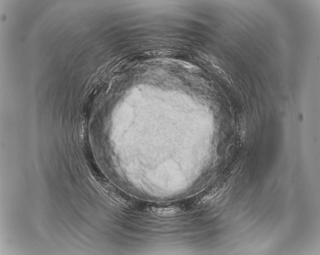 X0000070190645200606161552