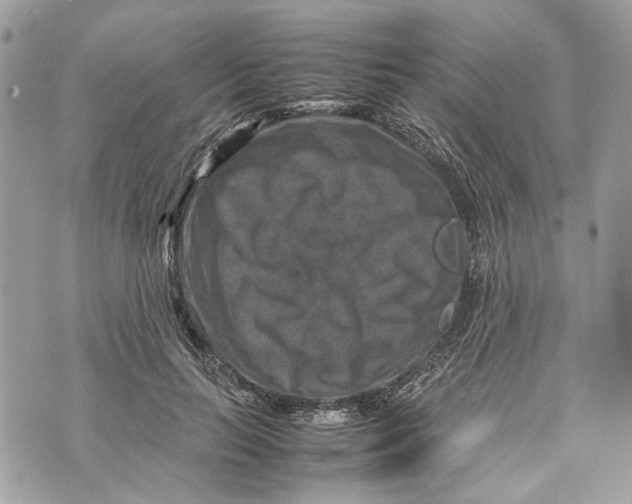 X0000070190647200606161552