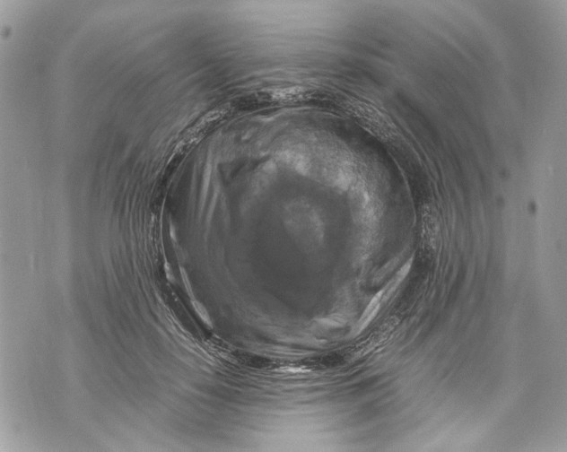 X0000070190650200606161552