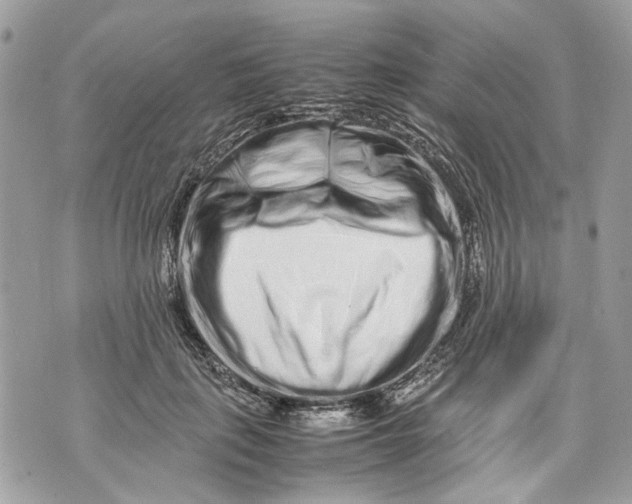 X0000070190651200606161552