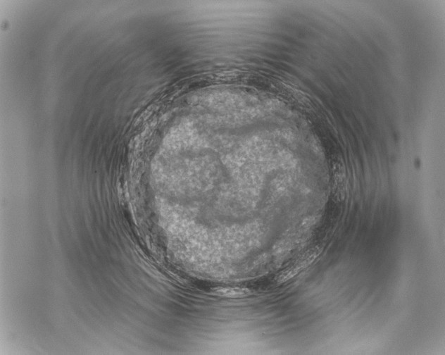 X0000070190654200606161552