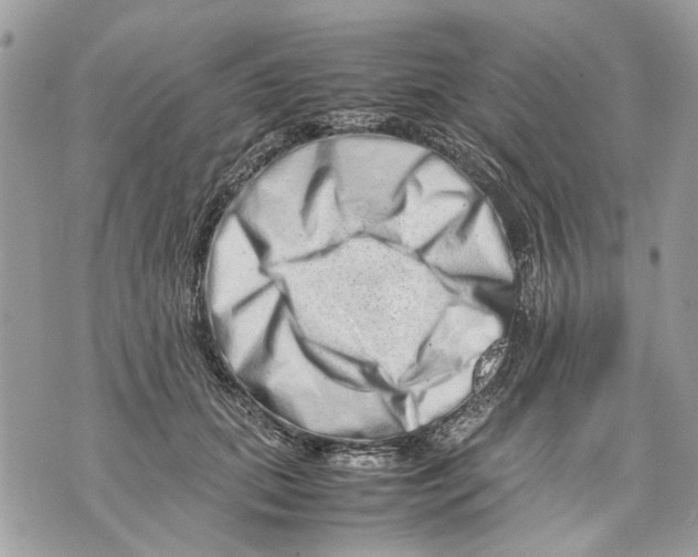 X0000070190655200606161552