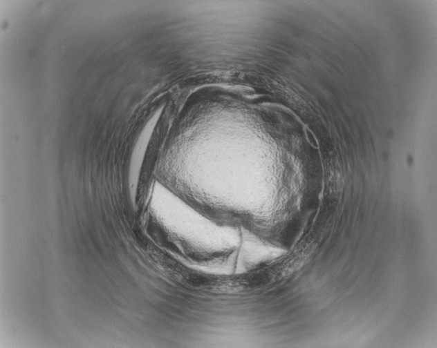 X0000070190656200606161552