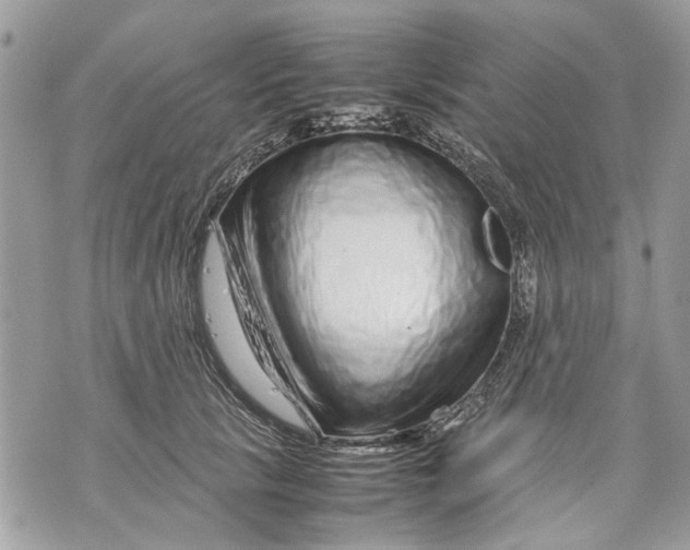 X0000070190657200606161552