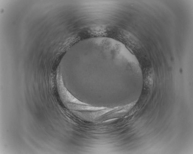 X0000070190658200606161552