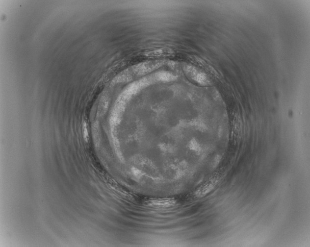 X0000070190659200606161552