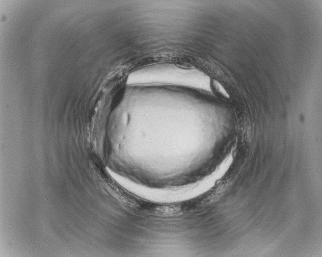 X0000070190660200606161552