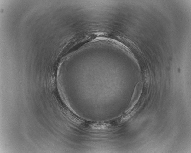 X0000070190661200606161552