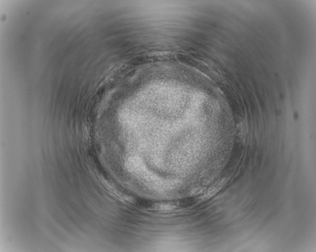 X0000070190662200606161552