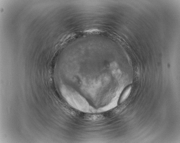 X0000070190663200606161552