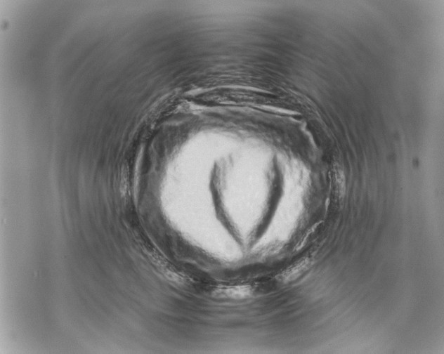 X0000070190665200606161552