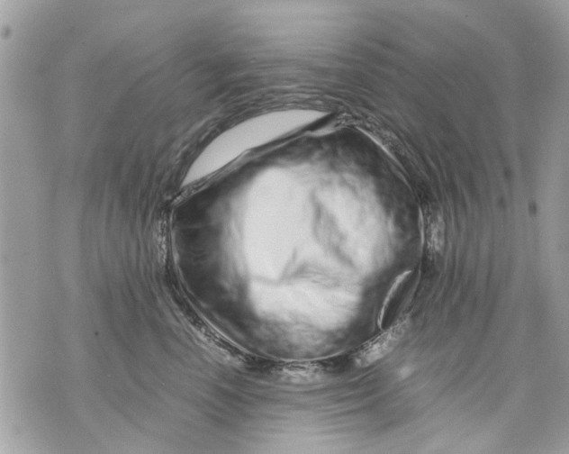 X0000070190666200606161552