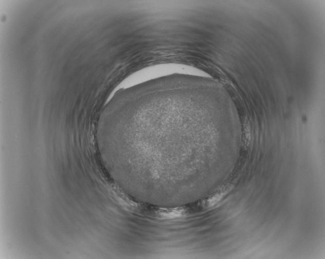 X0000070190667200606161552