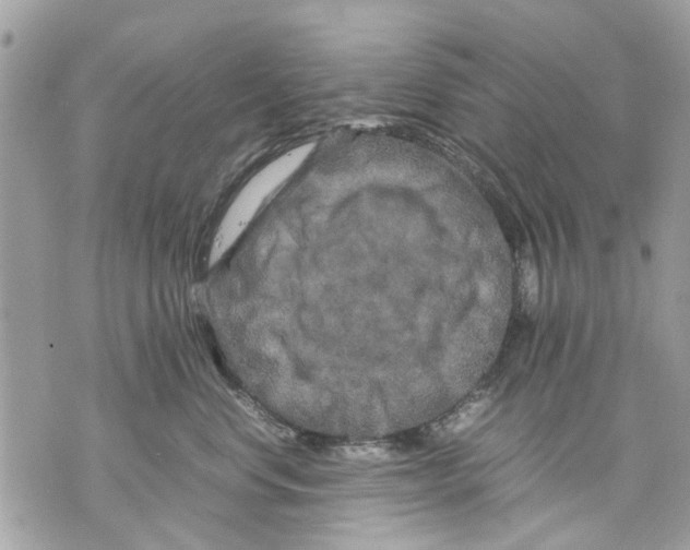 X0000070190668200606161552