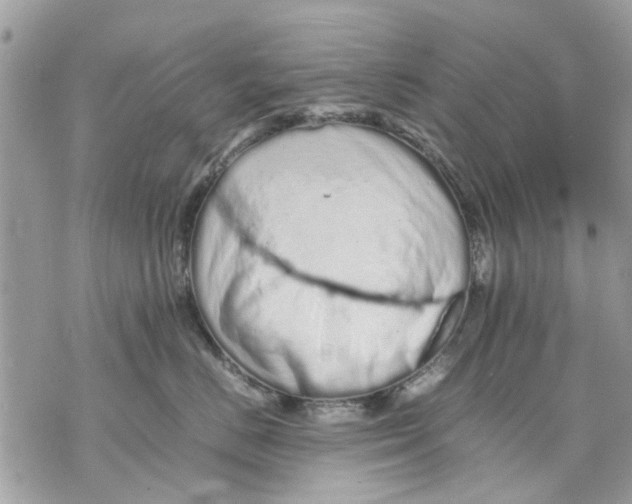 X0000070190670200606161552