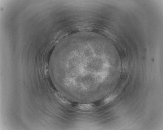 X0000070190671200606161552