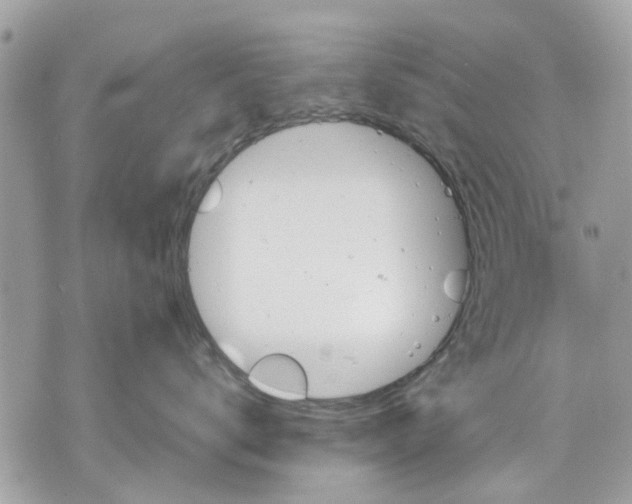 X0000070190672200606161552