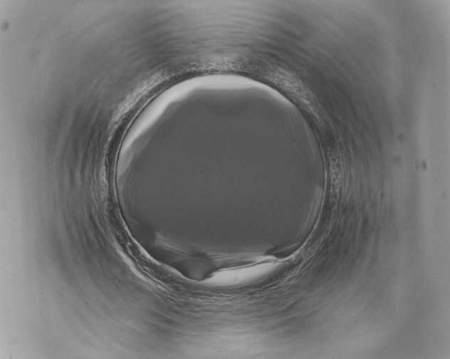 X0000070190674200606161551