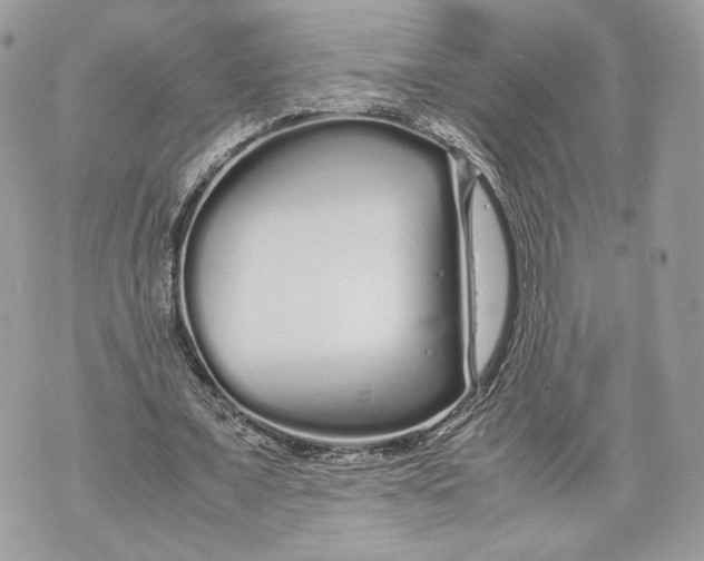 X0000070190675200606161551