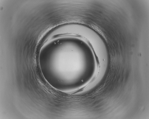 X0000070190676200606161551