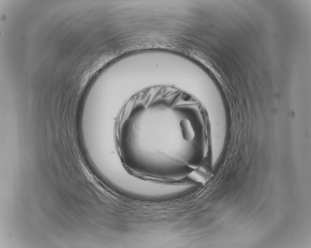 X0000070190677200606161551