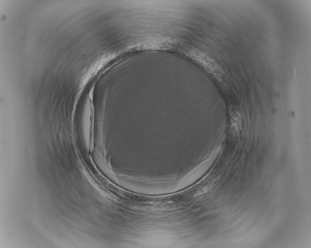 X0000070190678200606161551