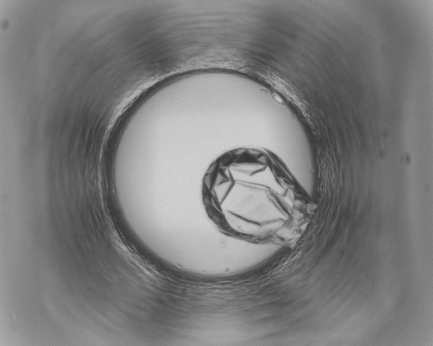 X0000070190680200606161551