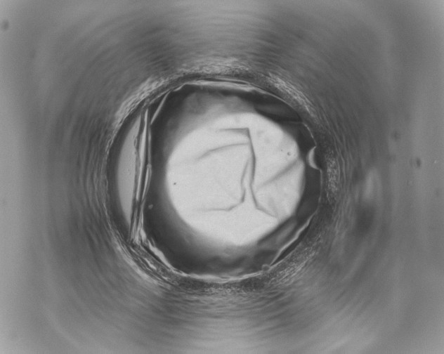 X0000070190682200606161551