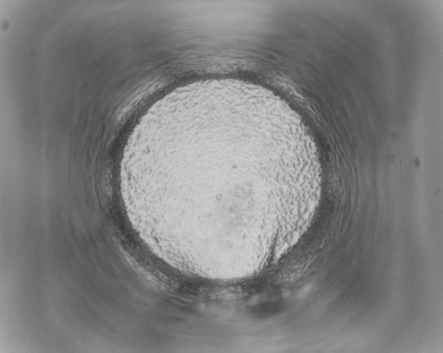 X0000070190683200606161551