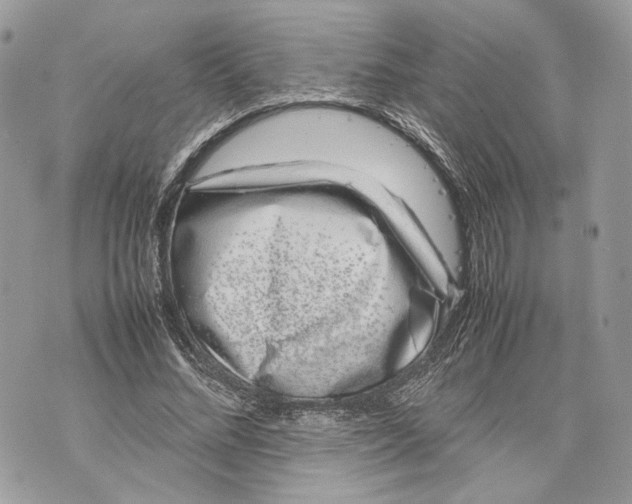 X0000070190684200606161551