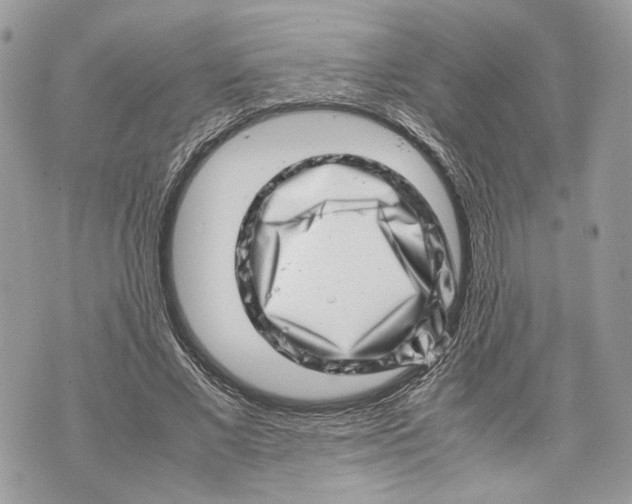 X0000070190685200606161551