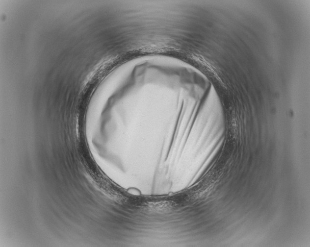 X0000070190686200606161551