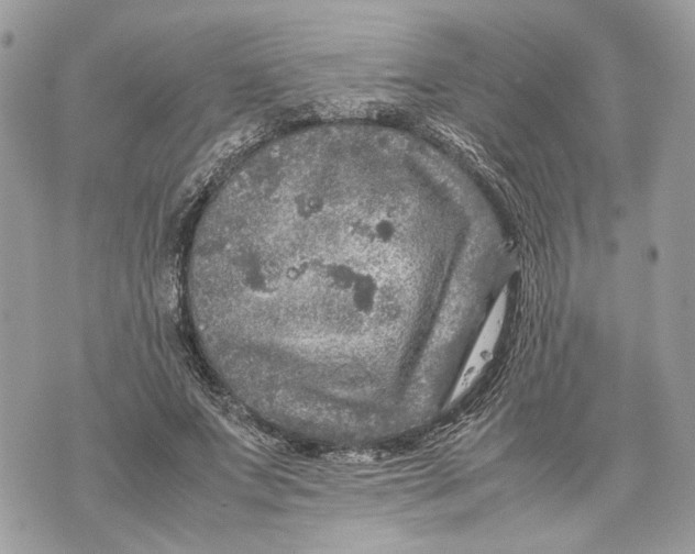 X0000070190687200606161551