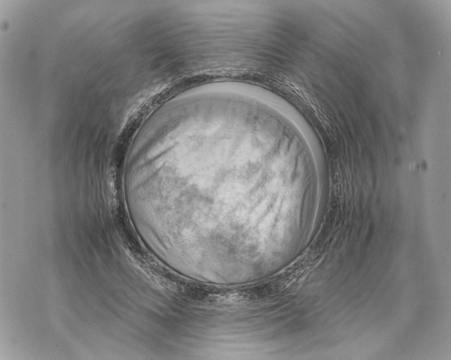 X0000070190688200606161551