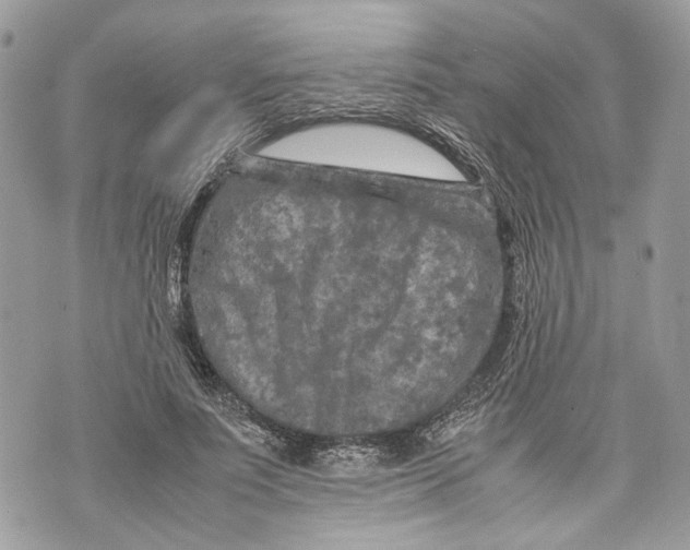 X0000070190691200606161551