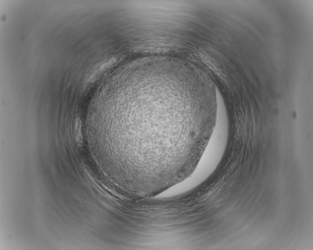 X0000070190692200606161551