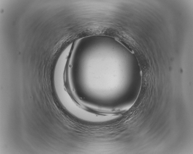 X0000070190693200606161551