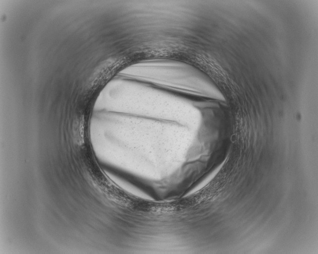 X0000070190694200606161551