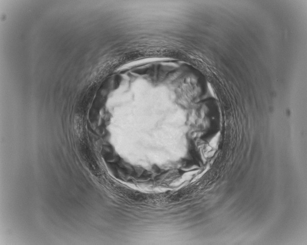 X0000070190695200606161551