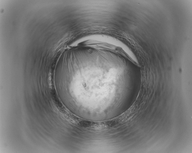 X0000070190696200606161551