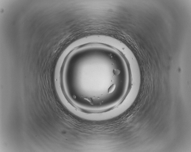 X0000070190697200606161551