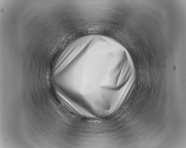 X0000070190698200606161551