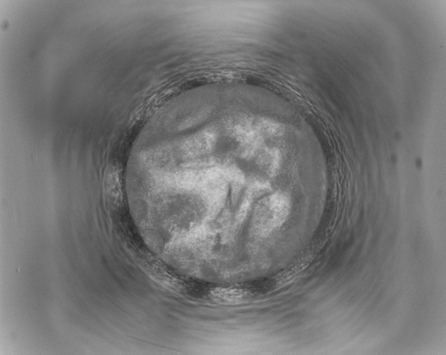 X0000070190699200606161551